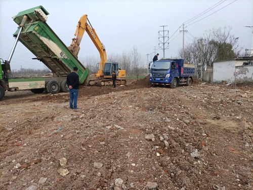 龍子湖住建局以創(chuàng)新模式開啟東部門戶綠化建設(shè)工程