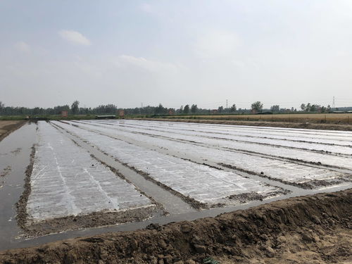 筑巢引鳳賦能 三鄉(xiāng)工程 打造鄉(xiāng)村振興 強(qiáng)磁場