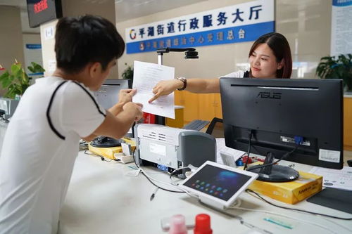 厲害了我的平湖——政務服務改革創新成效顯著，信息咨詢服務再升級